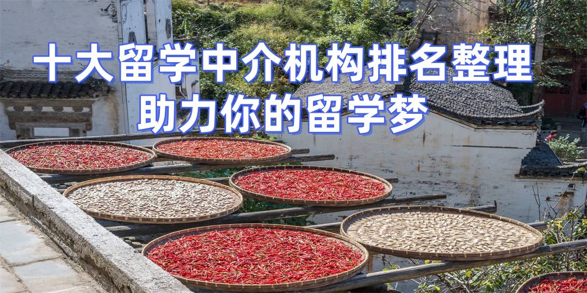 2026年青島留學機構排名，值得信賴的留學中介推薦