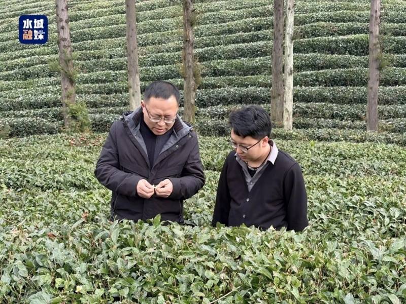 貴州省人大代表劉興：把論文寫在茶山 把履職落在實處