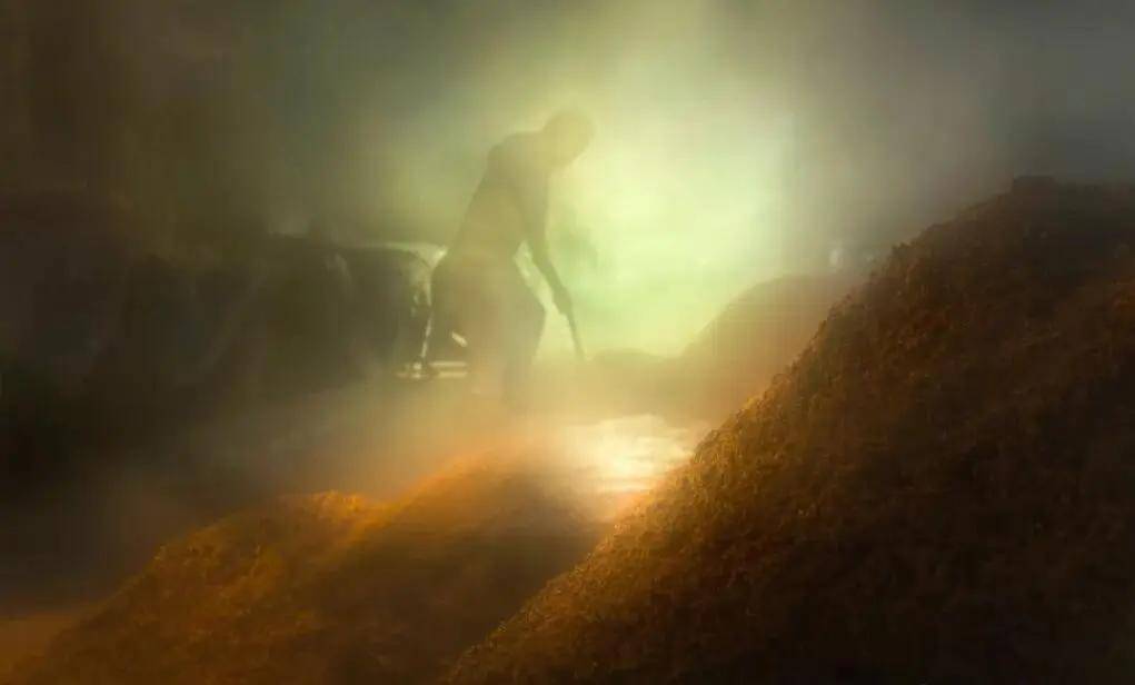 國際旅遊攝影網2026年國內外攝影路線全景指南