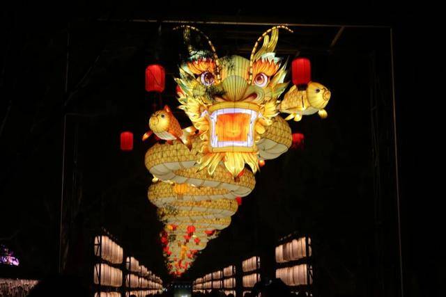 逛圓明園賞燈會！留學生在海淀沉浸式體驗“中國年”