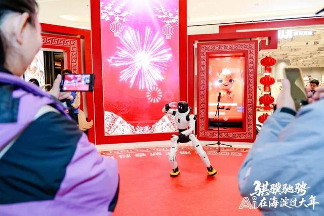 海淀科技廟會上的“全家福”！從一顆晶片到一個機器人的協同進化