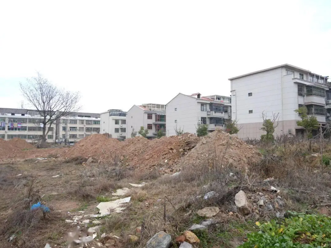 土地被“鎖死”，105本房產證“懸空”五年，誰把這盤“死棋”走活了？