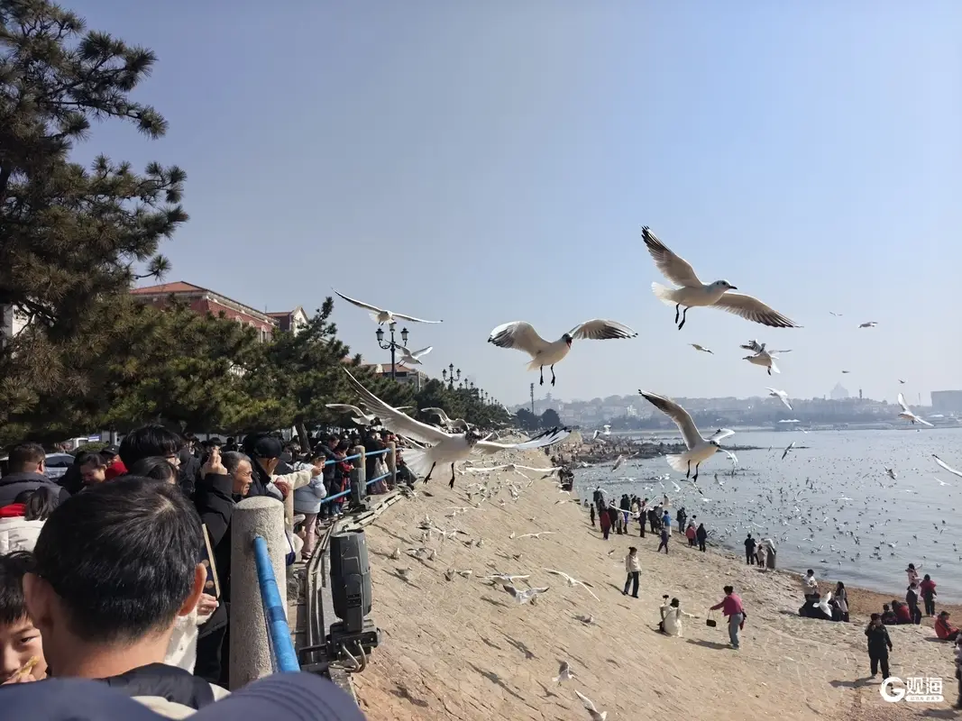 春節假期過後，青島老城文化旅遊區依然“人從眾”