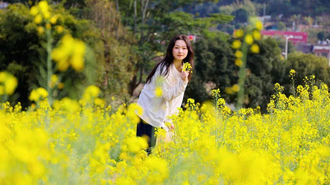 收藏！泉州春日賞花去哪裡？花期+地址全攻略