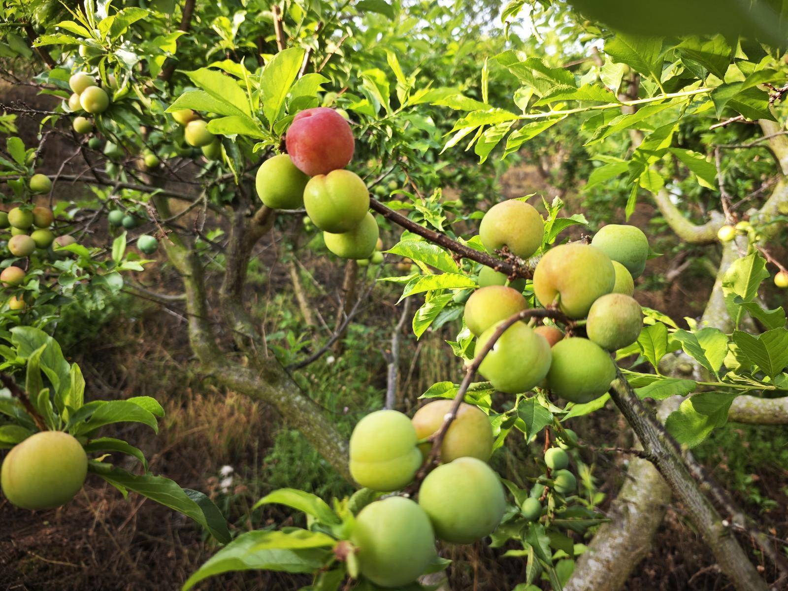 【開屏早知道】附崗位表！雲南新一批招聘公告來了