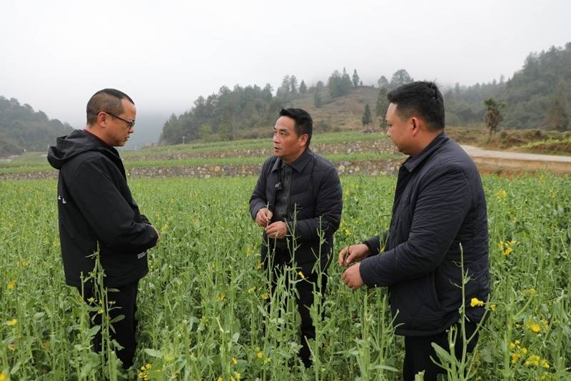 貴州省農科院：把論文寫在大地上 把政績立在田野間