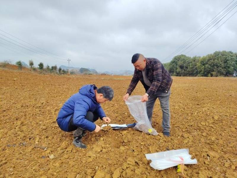 貴州省農科院：把論文寫在大地上 把政績立在田野間