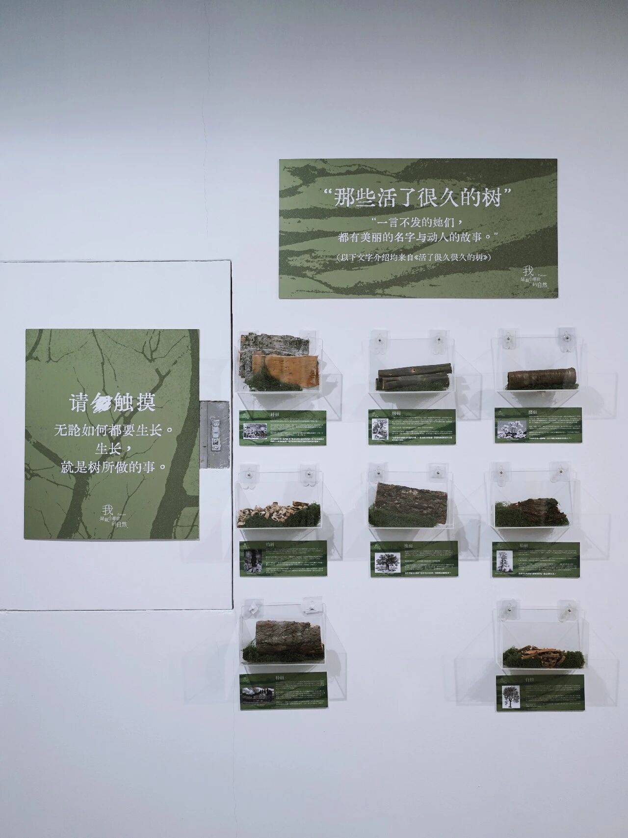 我是最小單位的自然，做書圖書市集出攤！